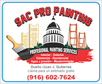 Sac Pro Painting